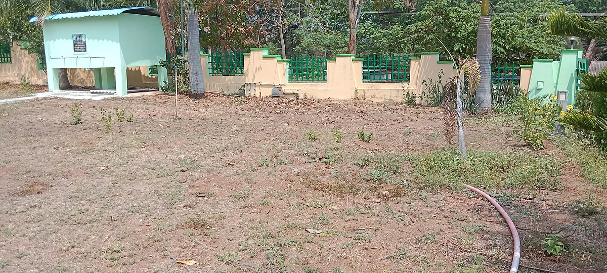 காய்ந்து கிடக்கும் புல்வெளிகள்