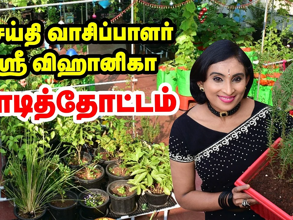 `செடிகளுக்கு Non veg food..!' - செய்தி வாசிப்பாளர் ஶ்ரீ விஹானிகாவின் மாடித்தோட்ட அனுபவம் - Part-2