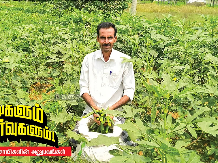 மஞ்சள் தேமல் நோயை விரட்டும் உயிர் உரங்கள்!