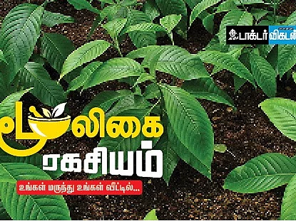 அடங்காத வைரஸையும் முடக்கும் `பாட்டு வாத்தியார்' இந்த ஆடாதொடை! - மூலிகை ரகசியம் - 4