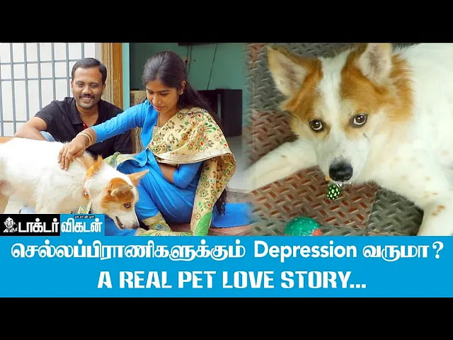வளர்த்தவர்களின் இறப்பு; Separation Anxiety-க்குப் போன Dog! Emotional Story | Pet Love