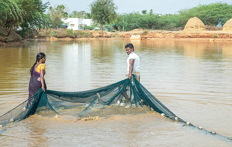 மீன் பிடித்தலில்