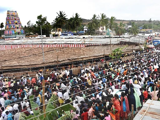 நார்த்தாமலை முத்துமாரியம்மன் தேர்த்திருவிழா; கொன்னையூர் நாடு செலுத்துதல்! ஆயிரக்கணக்கானோர் பங்கேற்பு