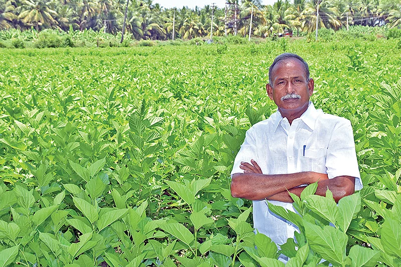 முருகன்