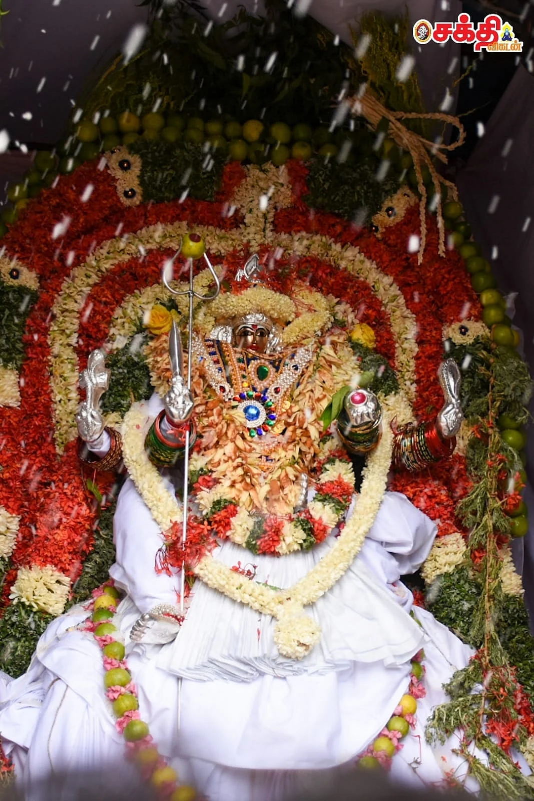 தேர் பவனி