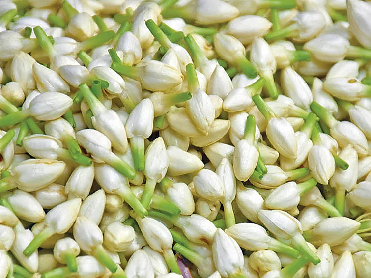 காலையில் மதுரை, மாலையில் மலேசியா... உலகம் முழுவதும் மணக்கும் மதுரை மல்லி!