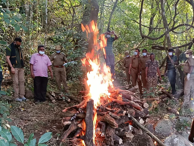 வளர்ப்பு நாயை வேட்டையாடிய சிறுத்தை... ஆத்திரத்தில் மர்மநபர் வெறிச்செயல் - நீலகிரி அதிர்ச்சி!