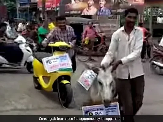 ` 6 நாள்கள் மட்டுமே ஓடிய ஓலா எலெக்ட்ரிக் ஸ்கூட்டர்' - கழுதையில் கட்டி ஊர்வலமாக இழுத்துச் சென்ற நபர்!