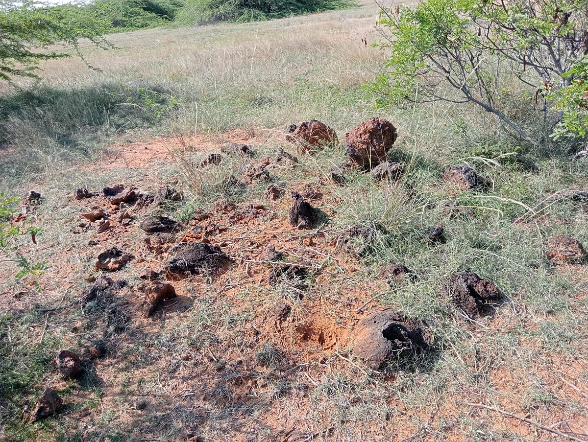 உருக்காலையின் எச்சங்கள்