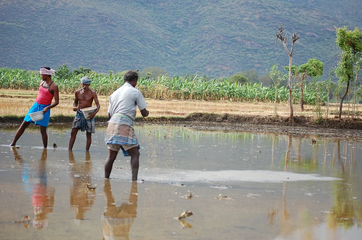 விவசாயம்