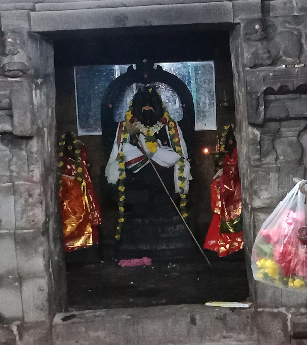 மயூர வாகனம்