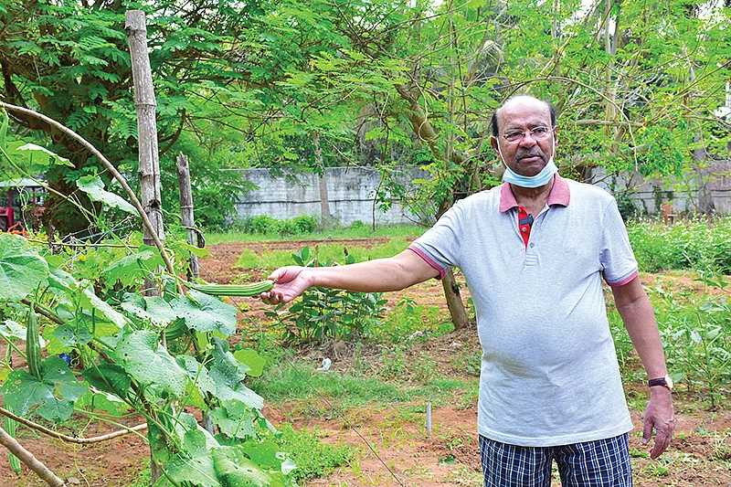 தோட்டத்தில் மருத்துவர் ராமதாஸ்