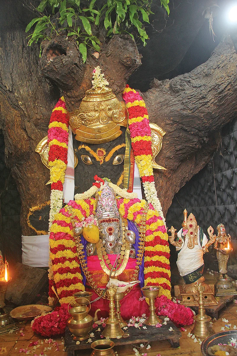 மாமரத்துப் பிள்ளையார்