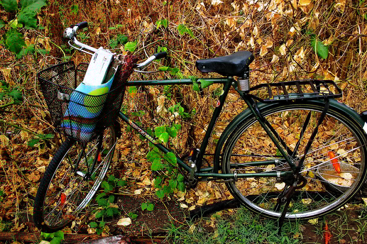 சைக்கிளும் நானும்! 