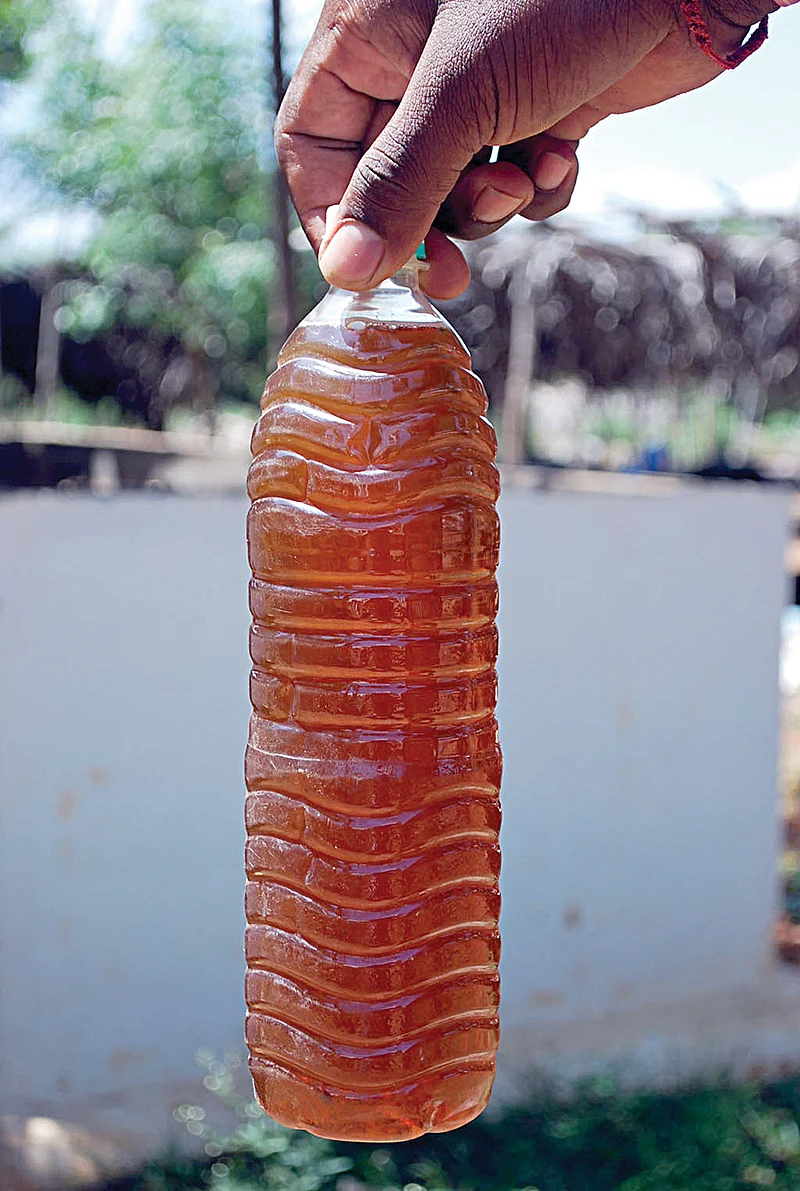 மண்புழு நீர்