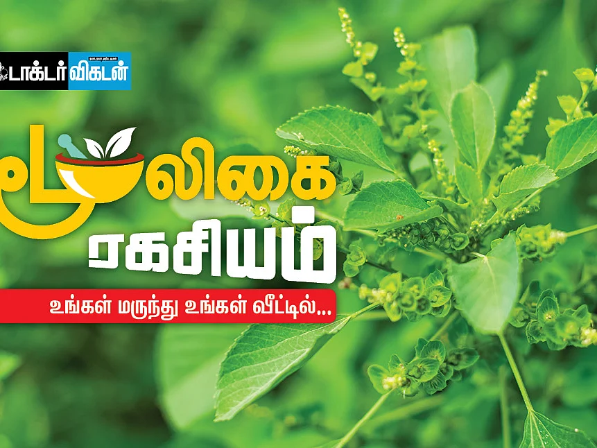பெயர்தான் குப்பைமேனி; செயலோ சக்திமான்! மூலிகை ரகசியம் - 6