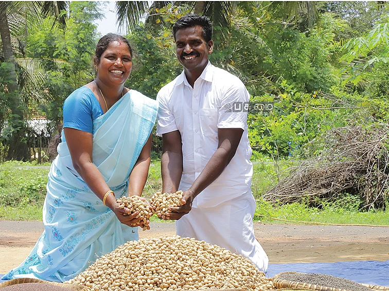 2.5 ஏக்கர்...
1.50 லட்சம் லாபம்
நிலக்கடலை... ஊடுபயிர்களாக உளுந்து, பச்சைப்பயறு, தட்டைப்பயறு!