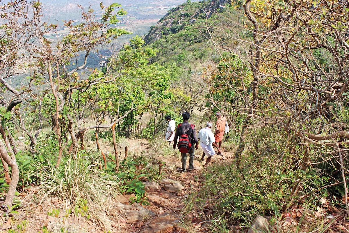 தொப்பையசாமி மலை