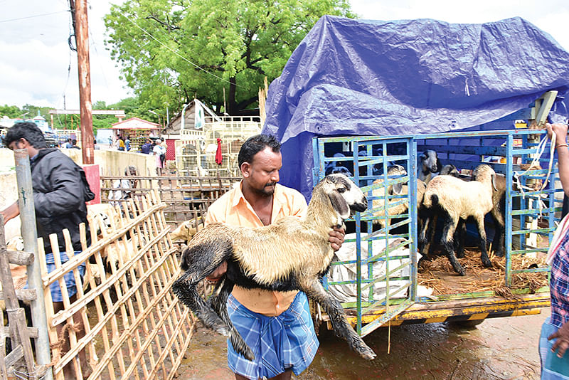 விற்பனை முடிந்தது
