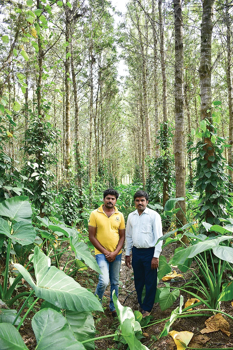 தோட்டத்தில் சந்தோஷ்-சுப்ரீத்