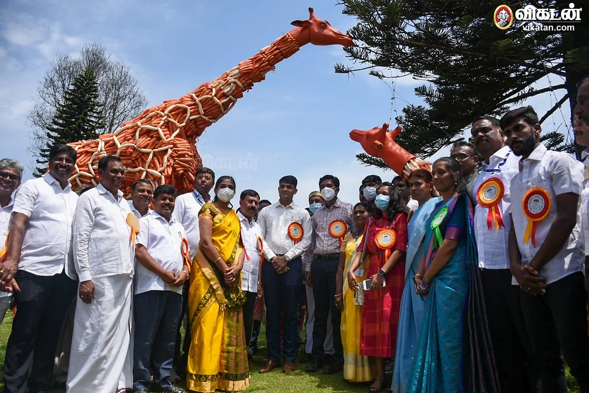 காய்கறிக் கண்காட்சி