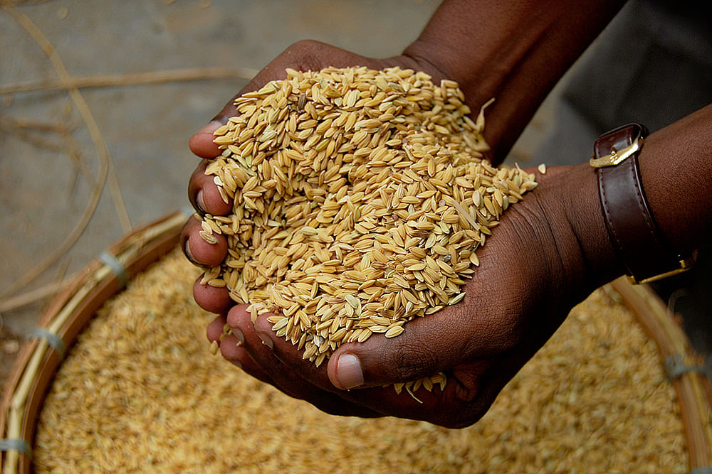 கனவு - 35 - திருவாரூர் - வளமும் வாய்ப்பும்