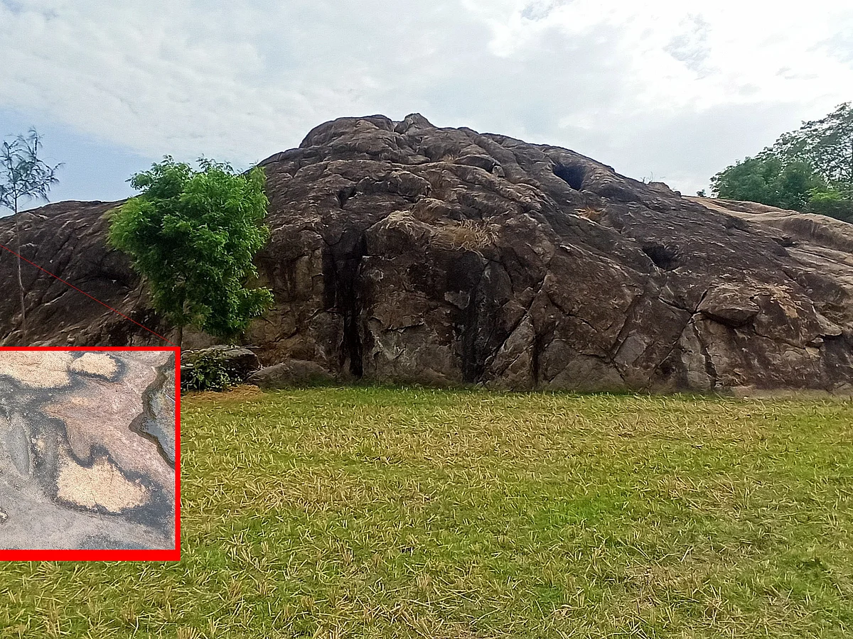 திருவண்ணாமலை: 5000 ஆண்டுகள் பழைமை; புதிய கற்கால மனிதர்கள் ஆயுதங்களைத் தீட்டிய இடம் கண்டுபிடிப்பு!