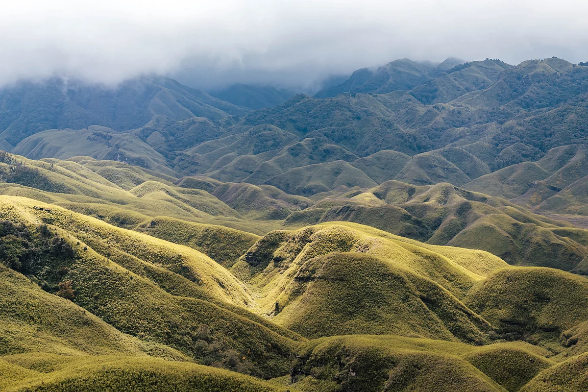 dzukou valley
