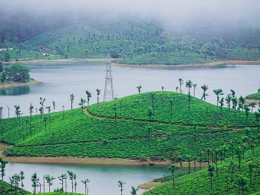 Valparai: சில்லென்ற மலை; குளு குளு நீர்விழ்ச்சி; இளநீர்,மீன் வறுவலுக்கு ஆழியாறு; ஒரு ஜாலி ட்ரிப்!