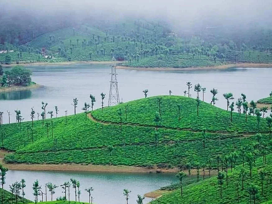 Valparai: சில்லென்ற மலை; குளு குளு நீர்விழ்ச்சி; இளநீர்,மீன் வறுவலுக்கு ஆழியாறு; ஒரு ஜாலி ட்ரிப்!