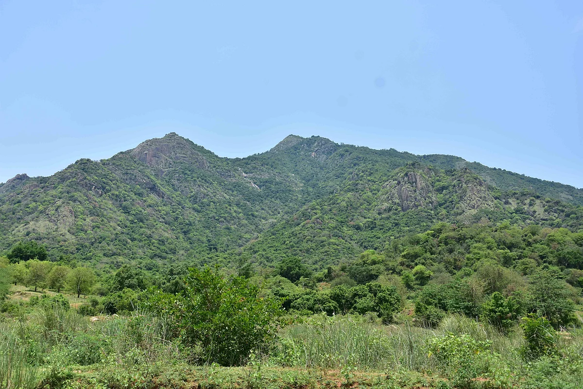 கன்னிவாடி வனப்பகுதி