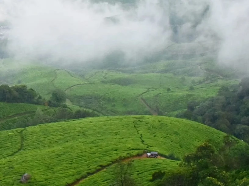 Munnar: ஹனிமூன் ஸ்பாட் மூணாரில் மிஸ் பண்ணக்கூடாத இடங்கள்|Visual Story