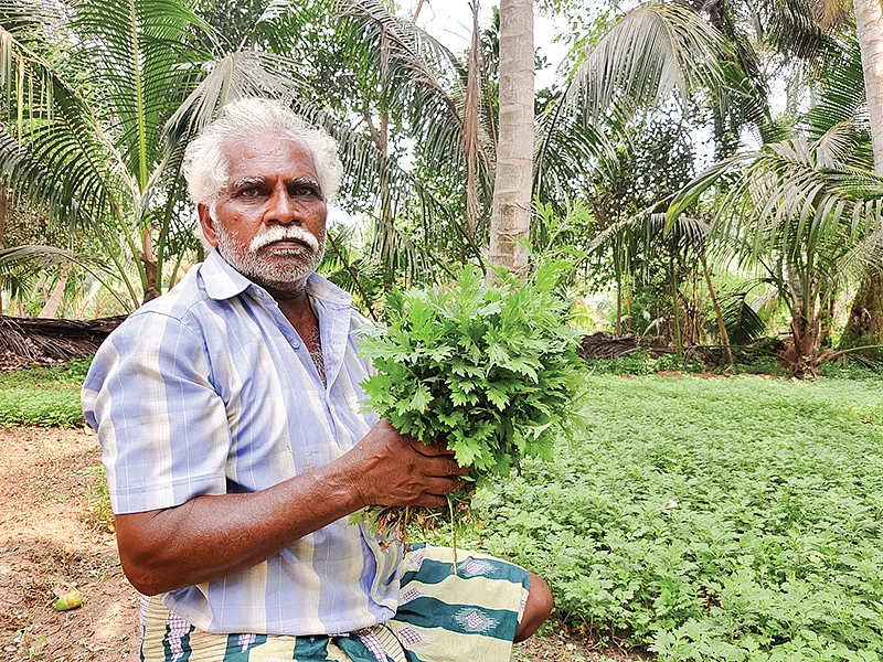 மாசிபச்சையுடன் மோகன்தாஸ்