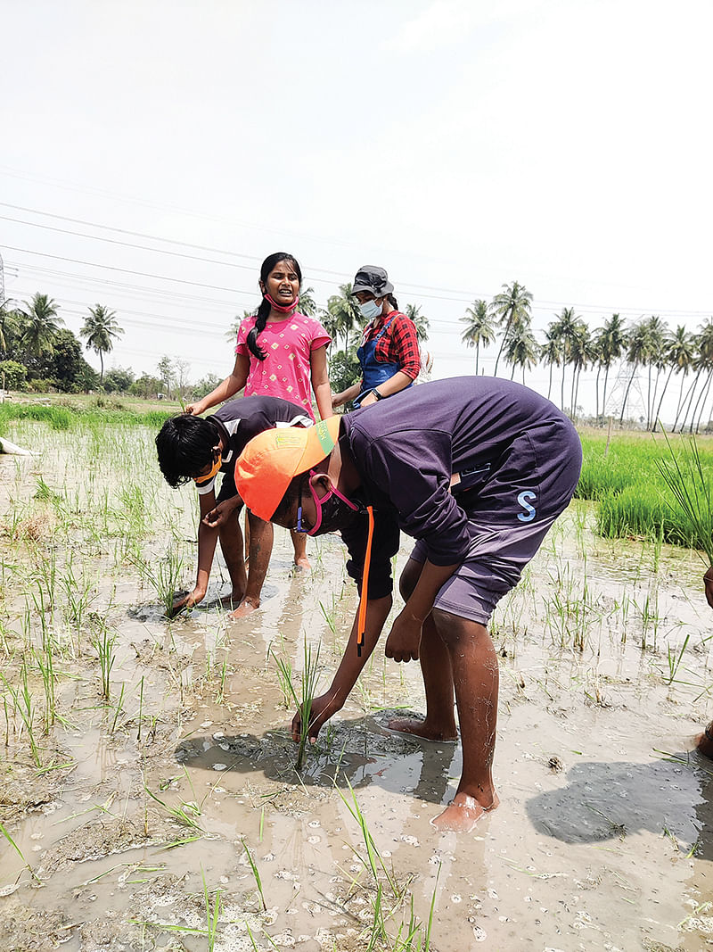 விவசாயப் பணிகளில் மாணவர்கள்