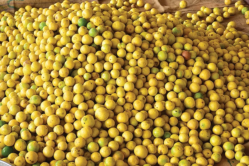 எலுமிச்சை சந்தையில்