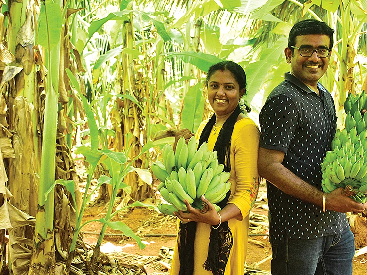 இரண்டேகால் ஏக்கர்...
2,28,000 ரூபாய்
கலப்பு வாழையில்
கலக்கல் லாபம்!