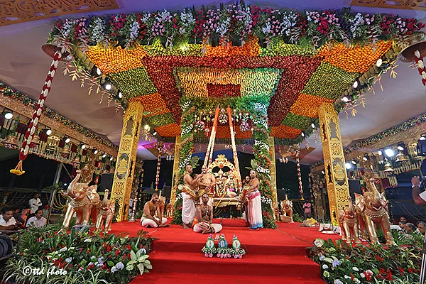 திருமலை திருப்பதி பரிணயோத்சவம்