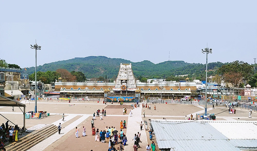 திருமலை திருப்பதி! - 8
