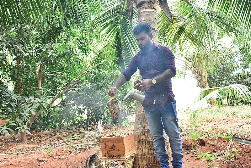 தேன் எடுக்கும் பணியில்