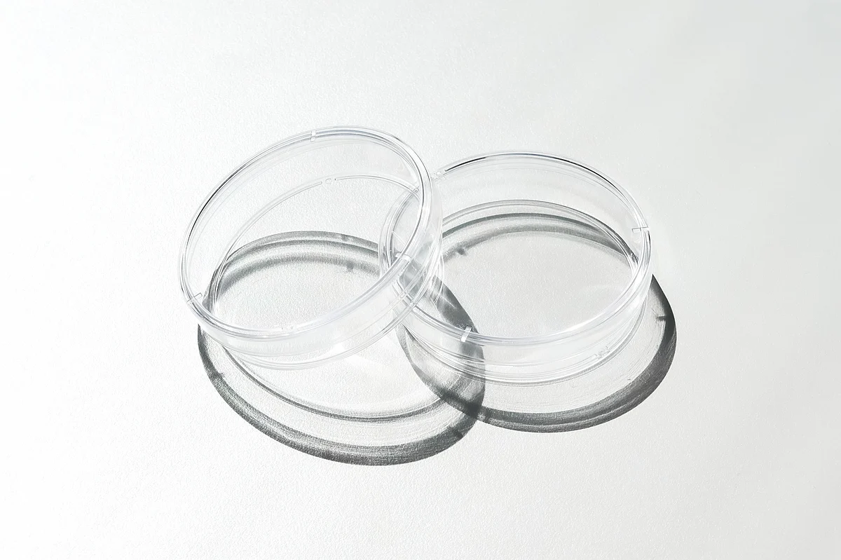 Lens