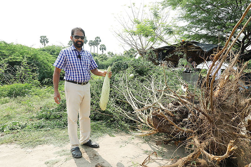 சீமைக்கருவேலம் கள ஆய்வு பணியில்