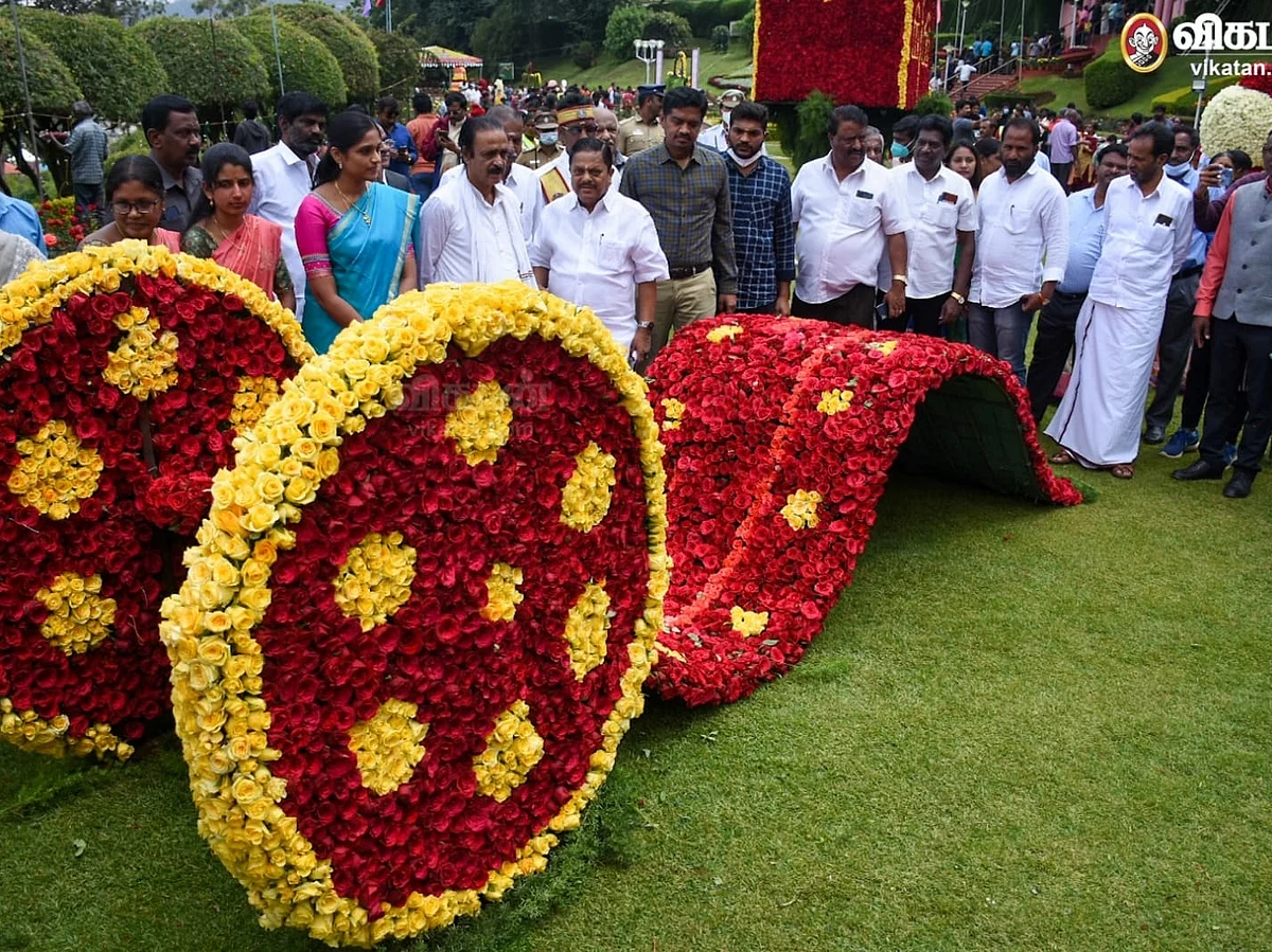 ஊட்டி ரோஜா கண்காட்சி ஸ்பெஷல்: 30,000 ரோஜாக்களில் ட்ரீ ஹவுஸ்; 50,000 ரோஜாக்களில் பியானோ, பனி மனிதன்!