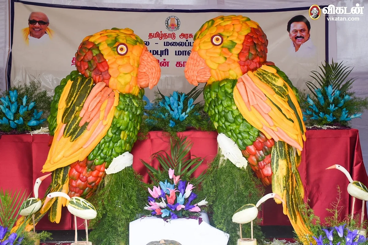 காய்கறிக் கண்காட்சி