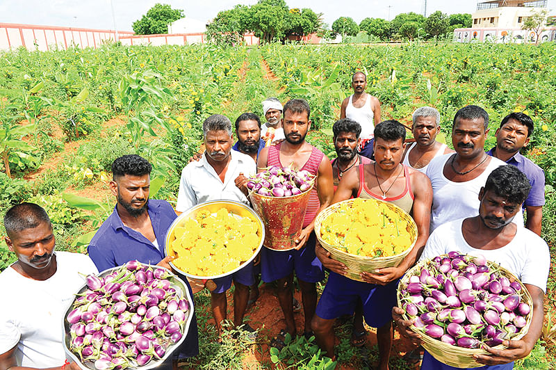 சிறைச்சாலையைப் பசுமைச்சோலையாக மாற்றிய சிறைவாசிகள்