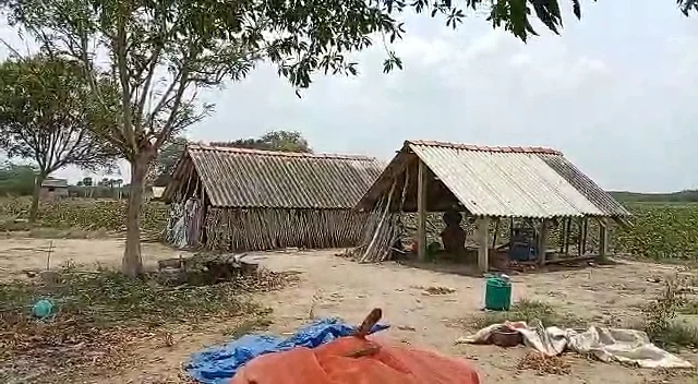 தற்கொலை செய்த தோட்டம்