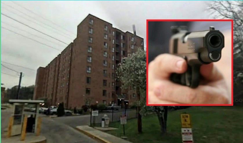 அமெரிக்கா: பார்ட்டியில் துப்பாக்கிச்சூடு நடத்திய நபர்; பதிலுக்கு சுட்டு பலரைக் காப்பாற்றிய பெண்மணி! 