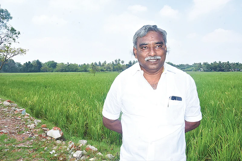 நெல் வயலில் பூண்டி கலைவாணன்