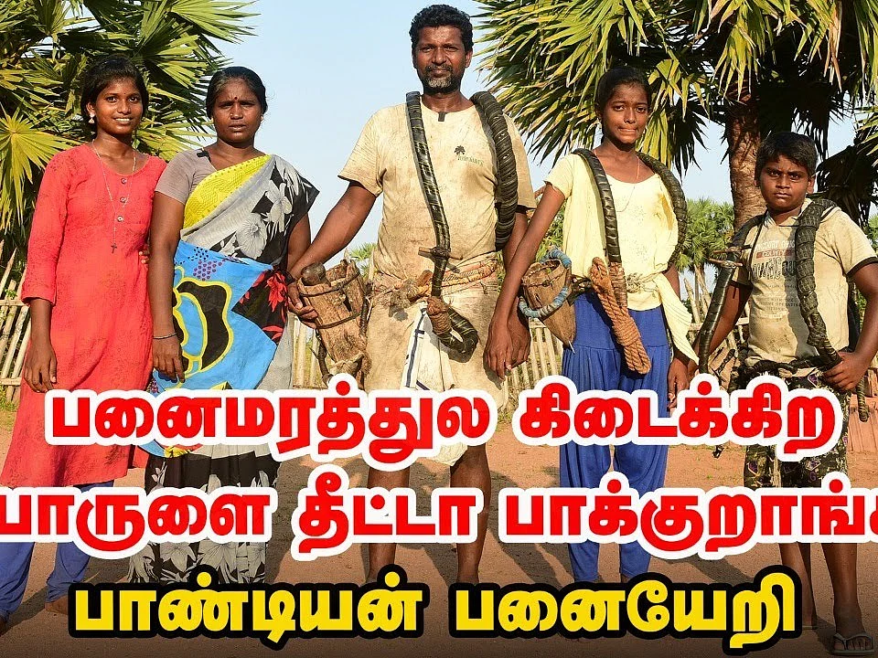 Palm Tree Climber | "எல்லாம் கைவிட்ட நேரத்துல பனைதான் என்னைக் காப்பாத்துச்சு!" - பாண்டியன் பனையேறி