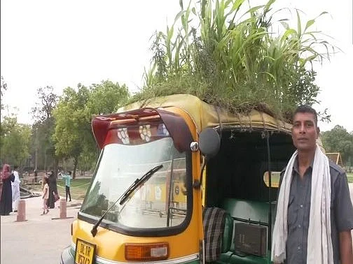 வெப்பத்தைக் குறைக்க ஆட்டோவின் மீது செடிகள்; வரவேற்பை பெறும் ஓட்டுநரின் புதிய முயற்சி!