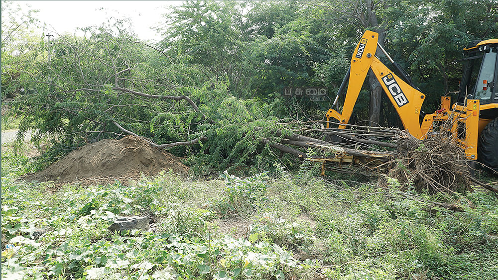 சீமைக்கருவேலம் கள ஆய்வு பணியில்